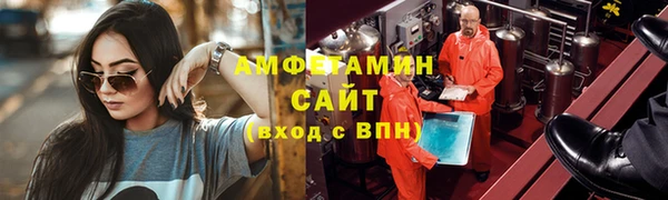 индика Заводоуковск