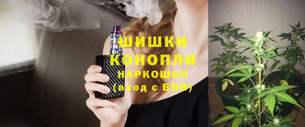 индика Заводоуковск