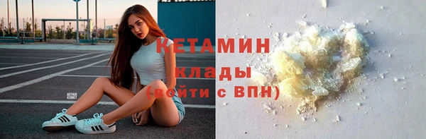 индика Заводоуковск