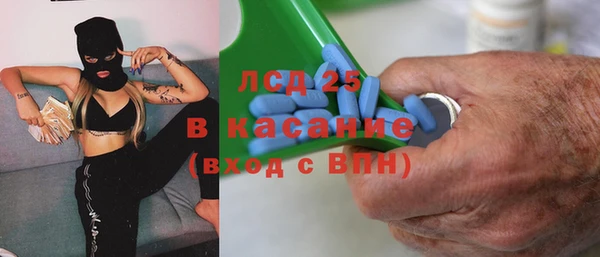 индика Заводоуковск