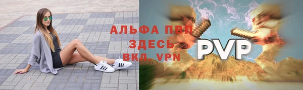 индика Заводоуковск