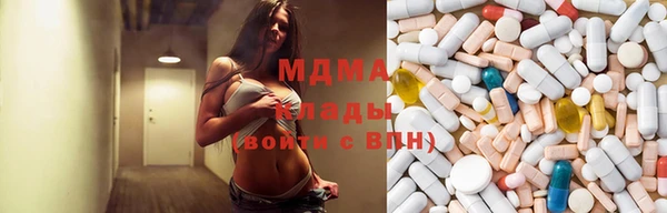 индика Заводоуковск