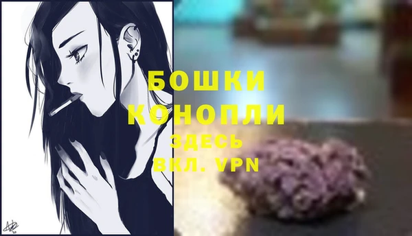 индика Заводоуковск