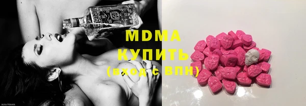 индика Заводоуковск