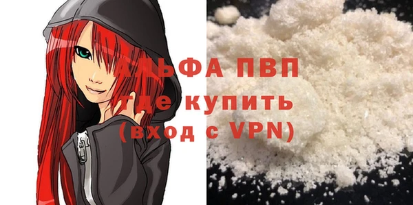 индика Заводоуковск