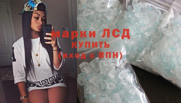 индика Заводоуковск