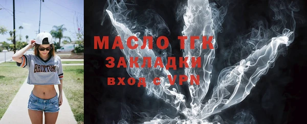 индика Заводоуковск