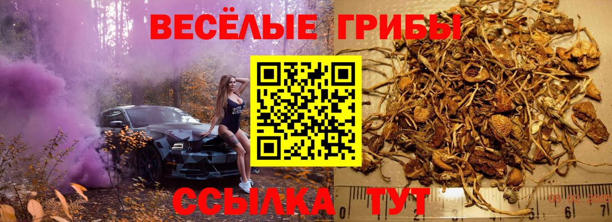 Галлюциногенные грибы ЛСД Чайковский
