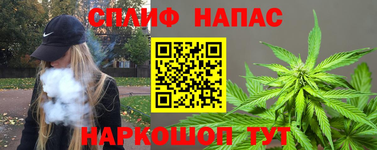 ГАШ Чайковский